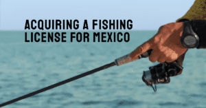 Acquiring a Fishing License for Mexico