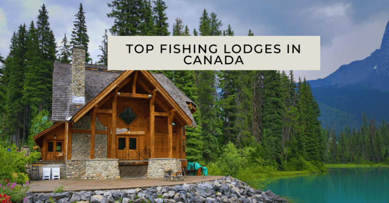 Top Fishing Lodges in Canada: Unwind amid Nature’s Bounty