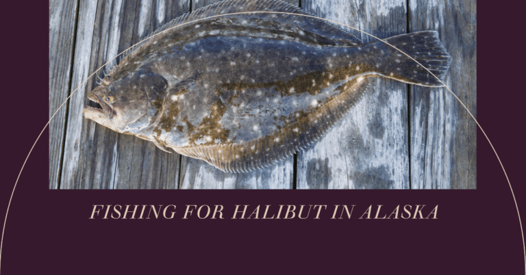Experience Unrivalled Halibut Fishing in Alaska: Ultimate Guide