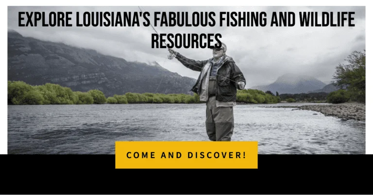 How to Fish for Redfish in Texas: The Complete Guide
