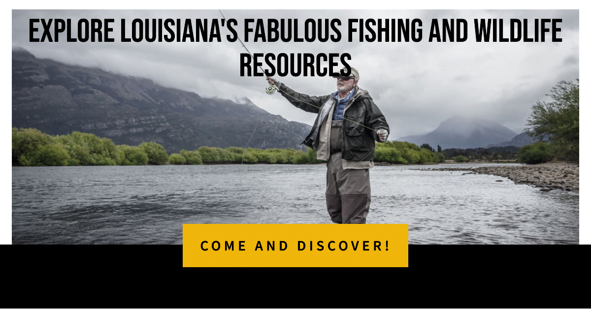 Explore Louisianas Fabulous Fishing and Wildlife Resources