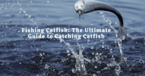 Fishing Catfish: The Ultimate Guide to Catching Catfish