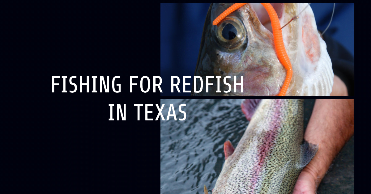 Fishing for Redfish in Texas