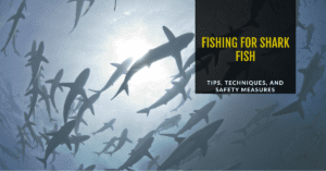 Fishing for Shark Fish