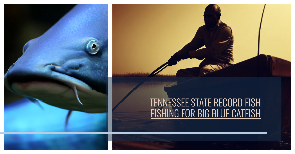 Tennessee State Record Fish, lake fishing