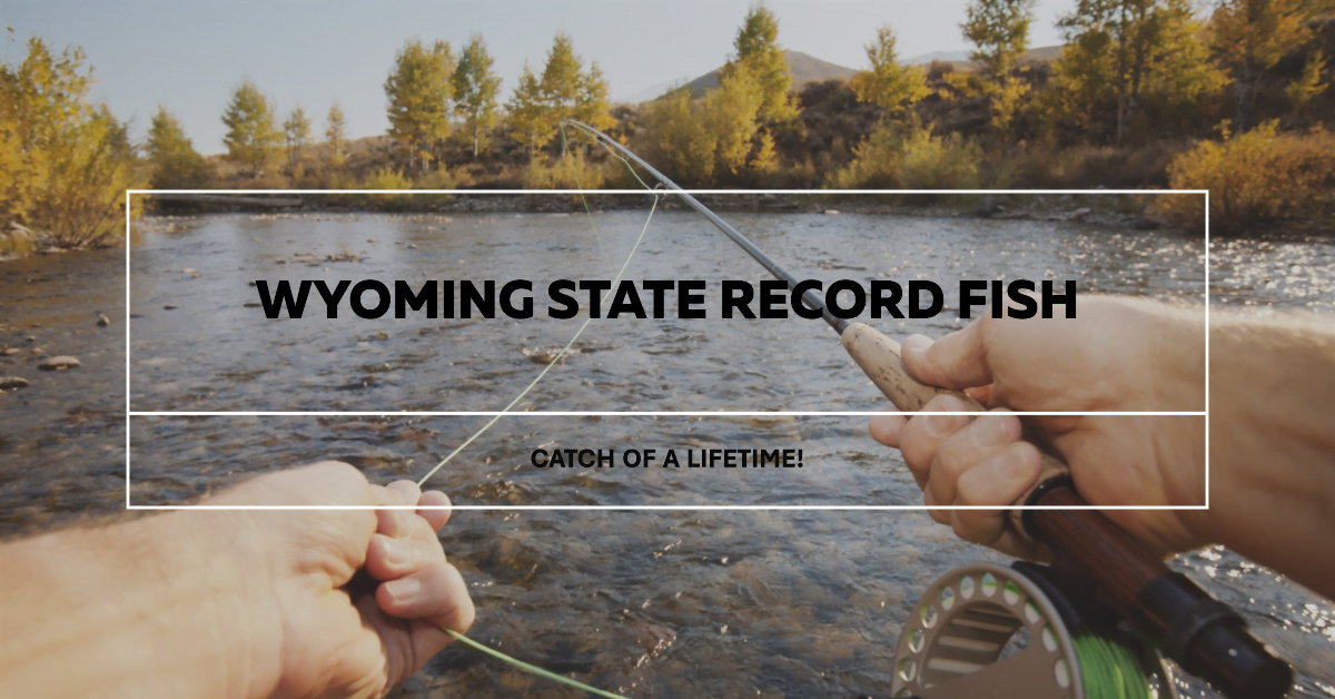 Wyoming State Record Fish