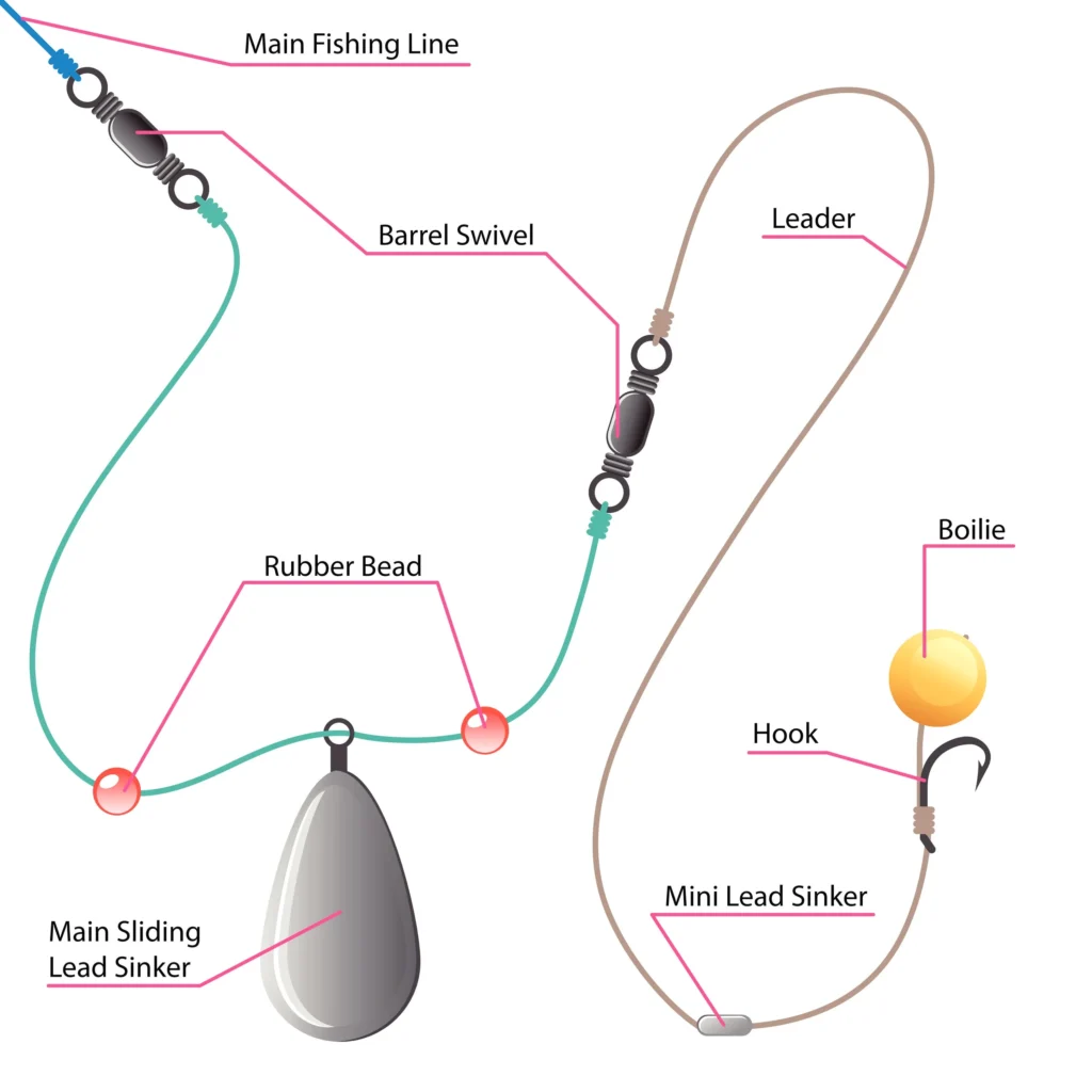 Carp fishing rig diagram