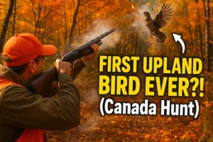 Upland Bird Hunting