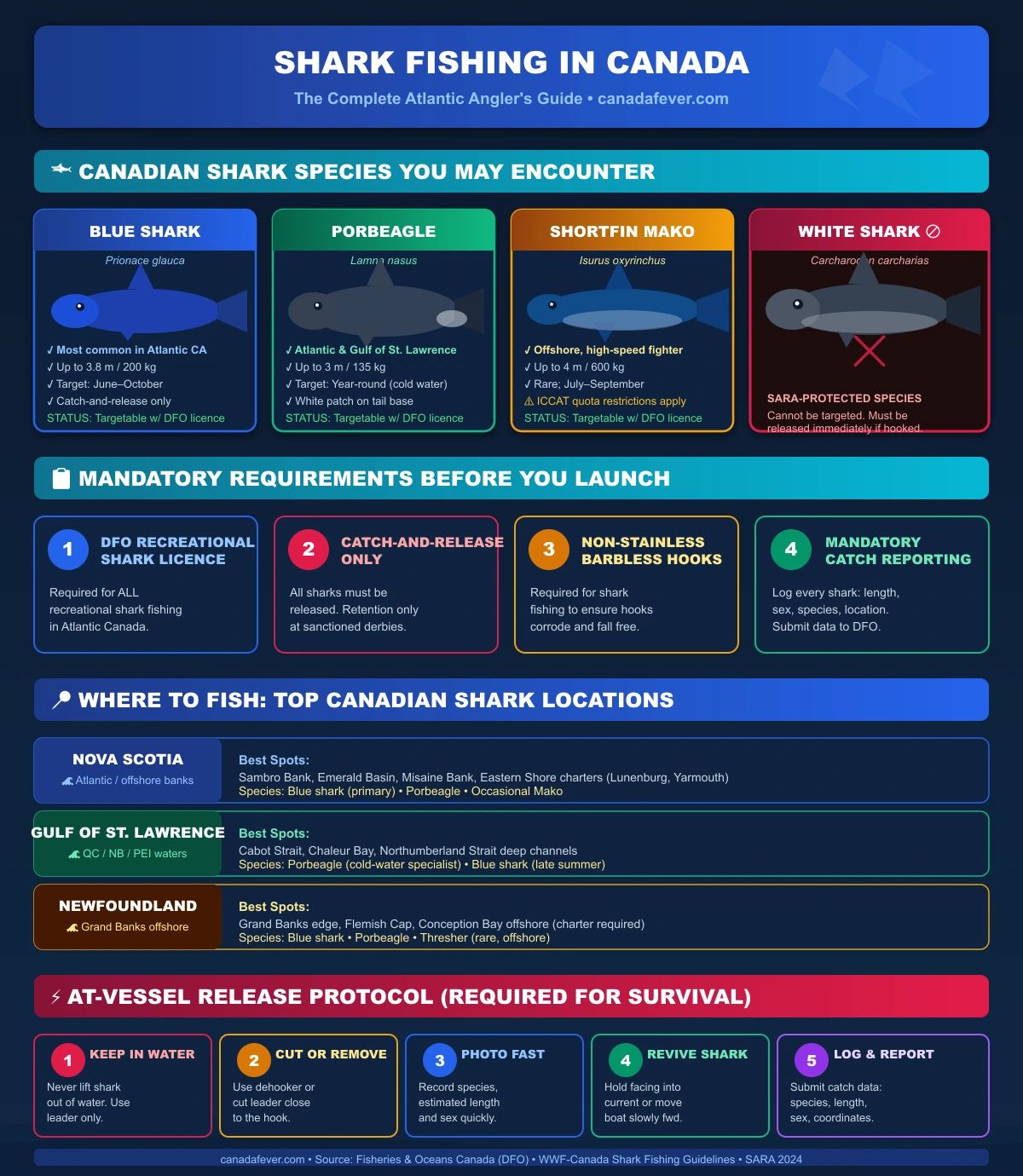 Shark Fishing Canada Infographic: Species guide, mandatory requirements, where to fish, and at-vessel release protocol