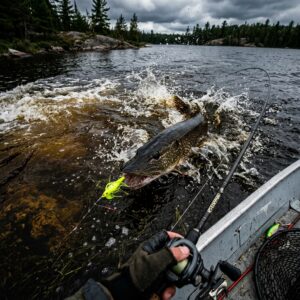 Fishing the Dark Water: The 4 Best Pike Lures for Stained Canadian Lakes