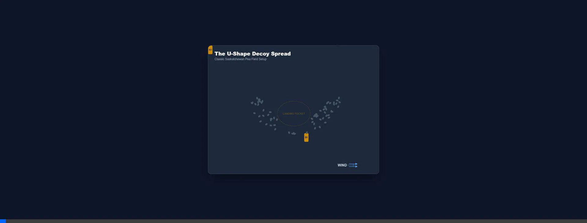 Waterfowl U-Shape Decoy Spread Animation