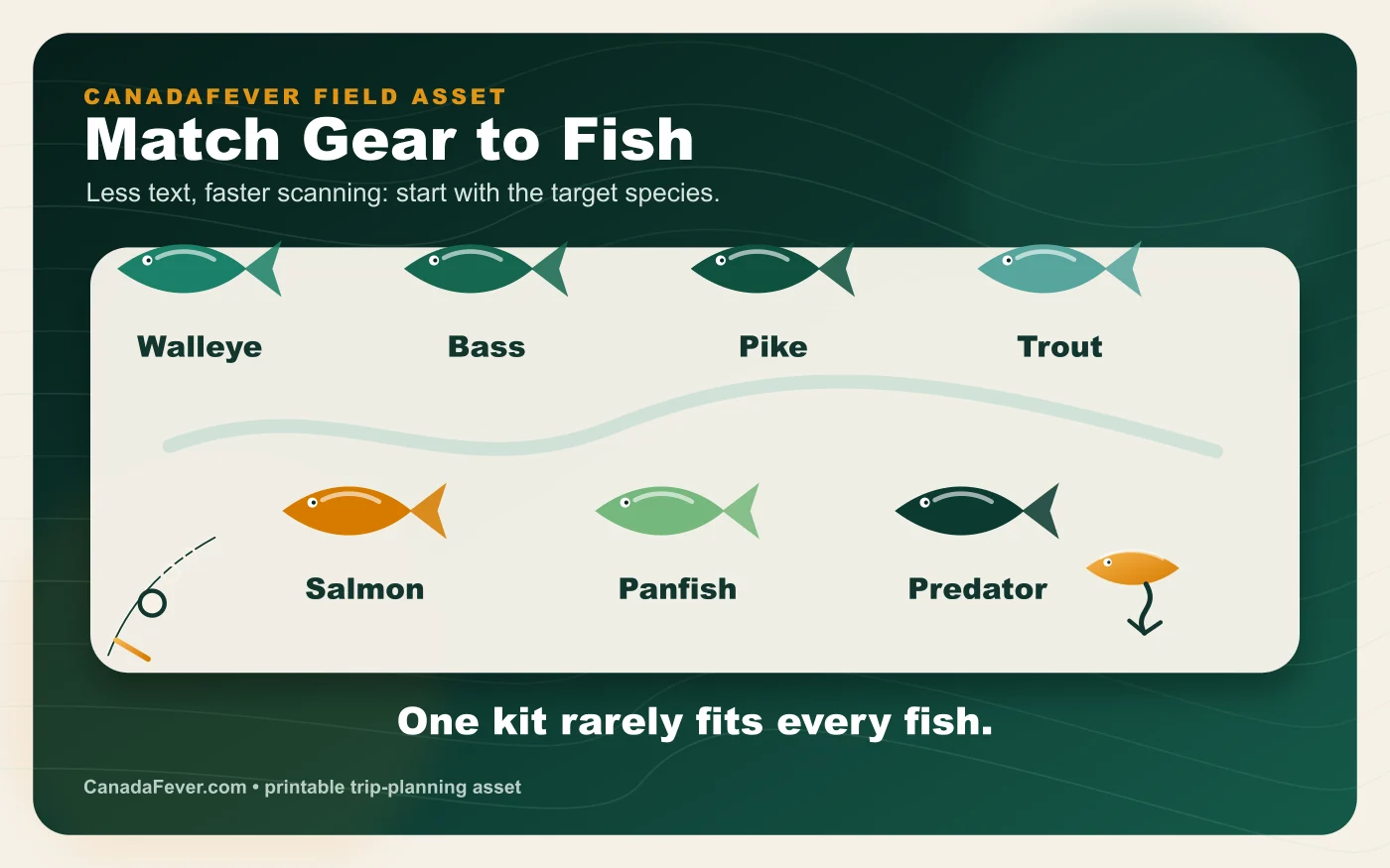 Premium Canadian fishing species setup matrix infographic