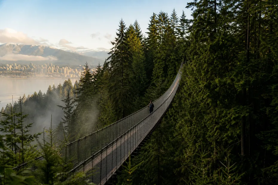 Suspension bridge through North Shore rainforest with the Vancouver skyline in the distance